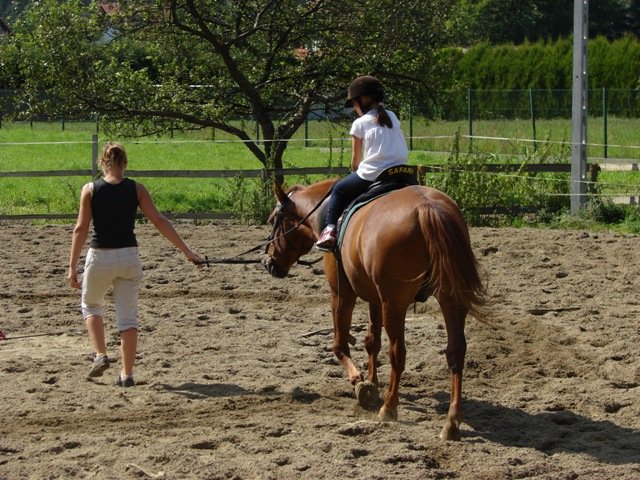 Hubertus 2010